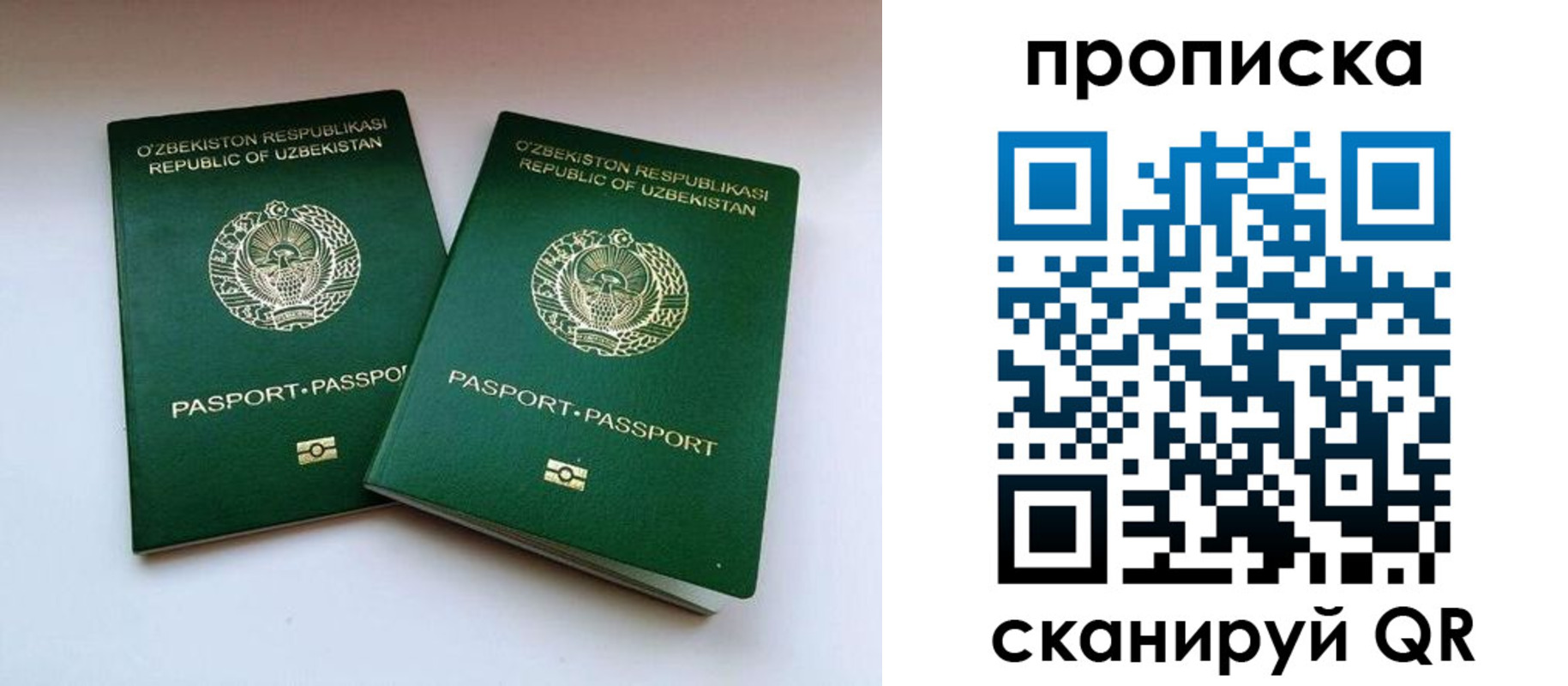 прописка поиск в Нижнекамске